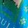 Green Blue Floral