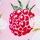 Raspberytangerine