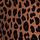 Leopard Brown