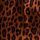 Leopard Brown