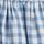 Blue Gingham