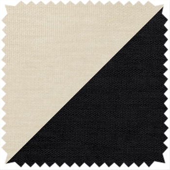Oyster and Black