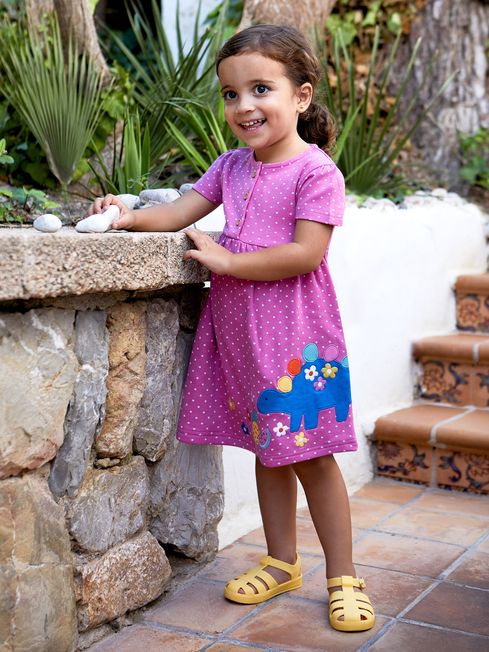 Buy Fuchsia Pink Dinosaur Spot Appliqué Button Front Jersey Dress from ...