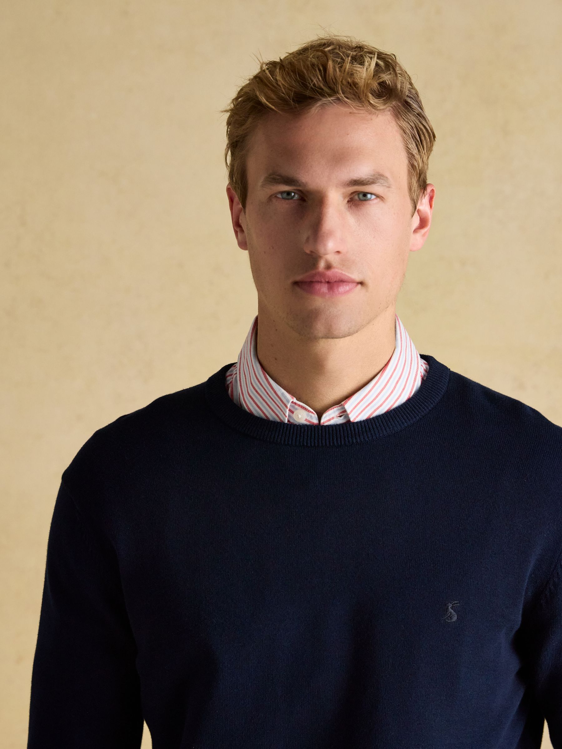 Jarvis Navy Crew Neck Knitted Jumper Joules