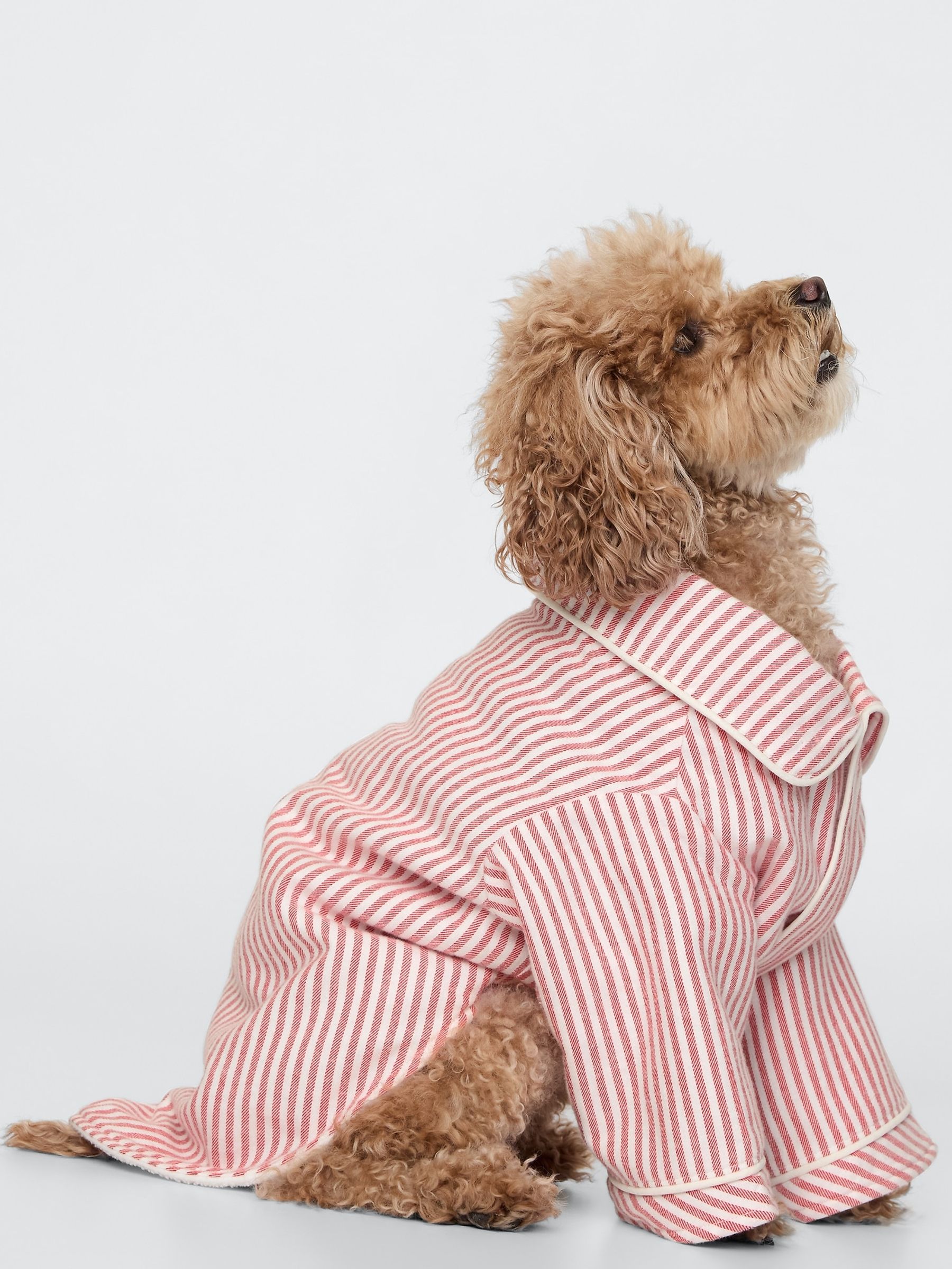 Buy Red Stripe Matching Family Christmas Pet Pyjama Shirt from the Gap online shop