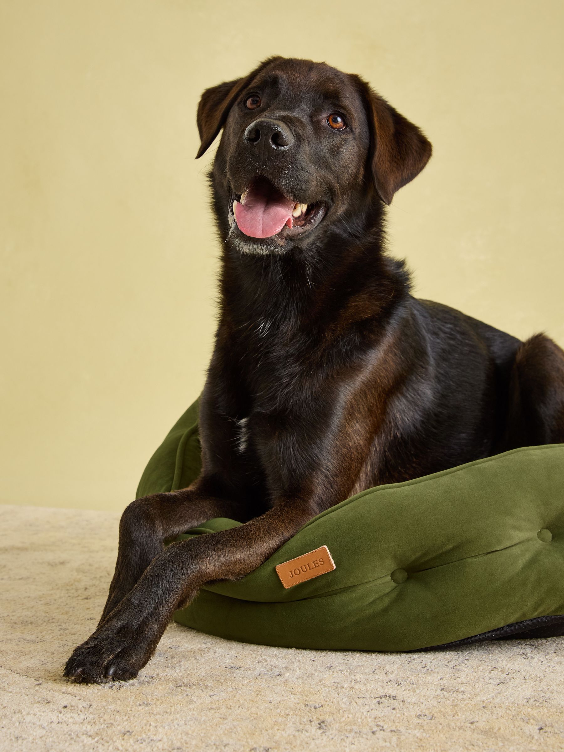 Small joules dog bed 2025