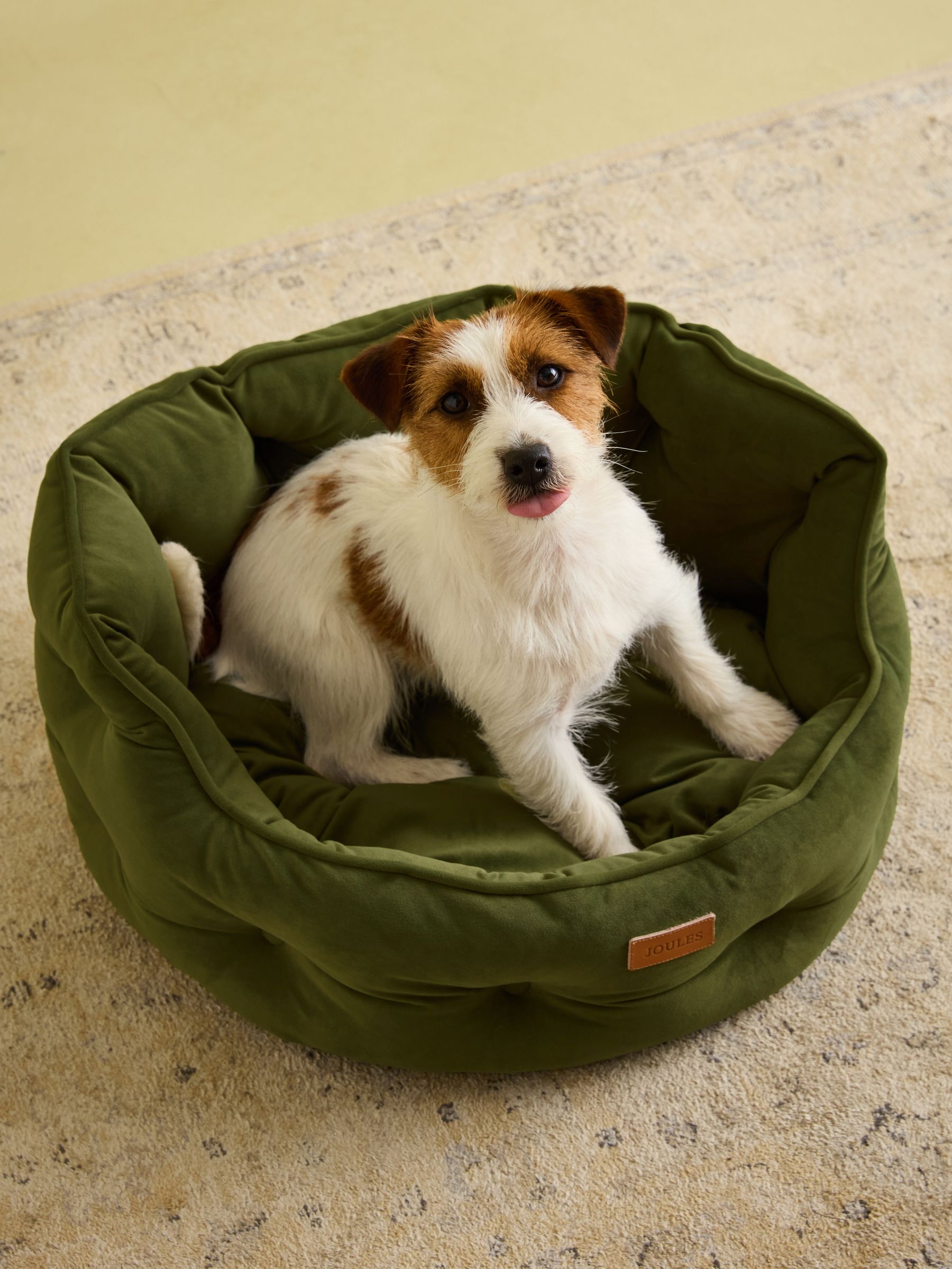 Buy Joules Khaki Chesterfield Pet Bed from the Joules online shop