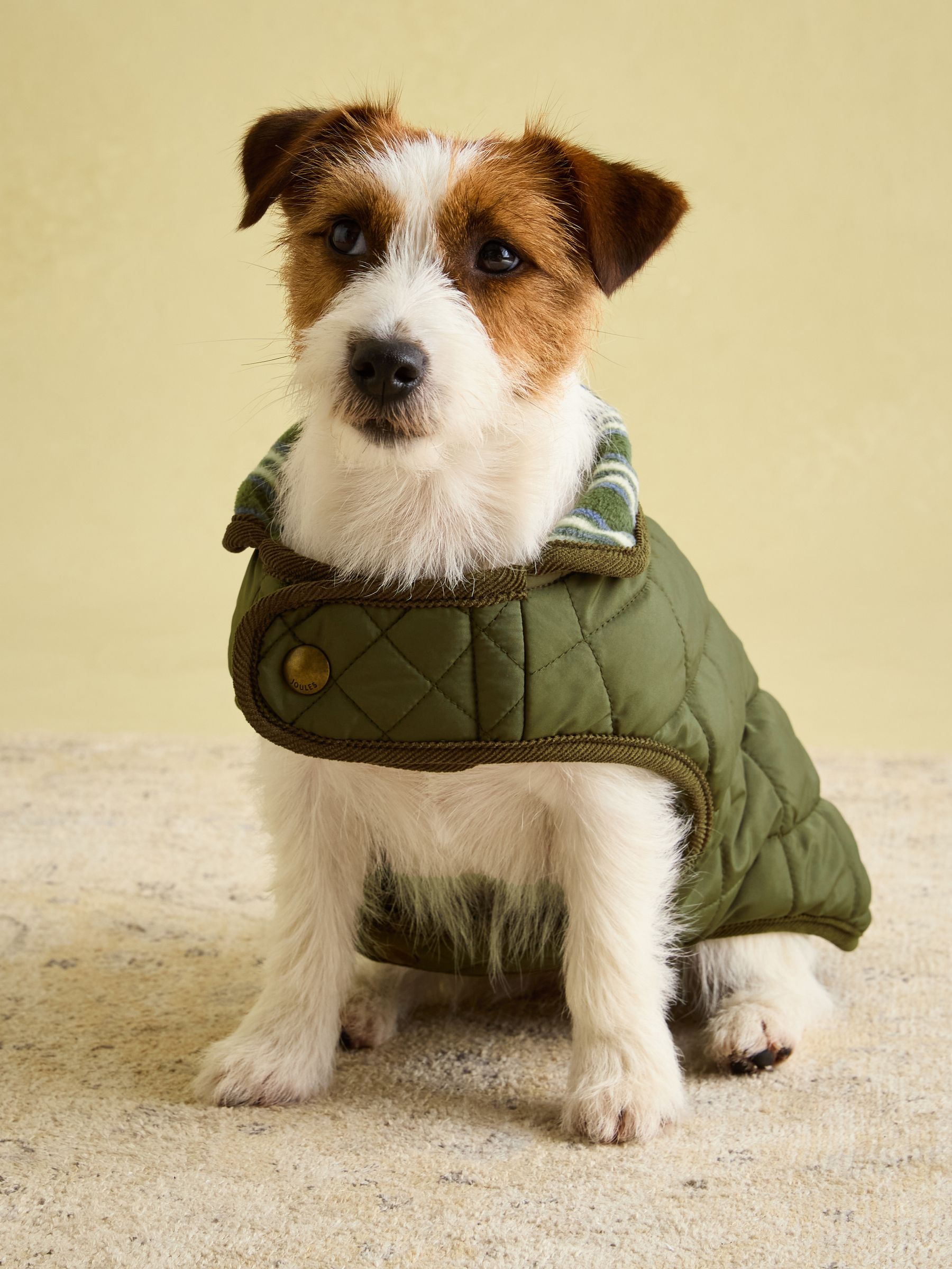 Quilted dog coat top