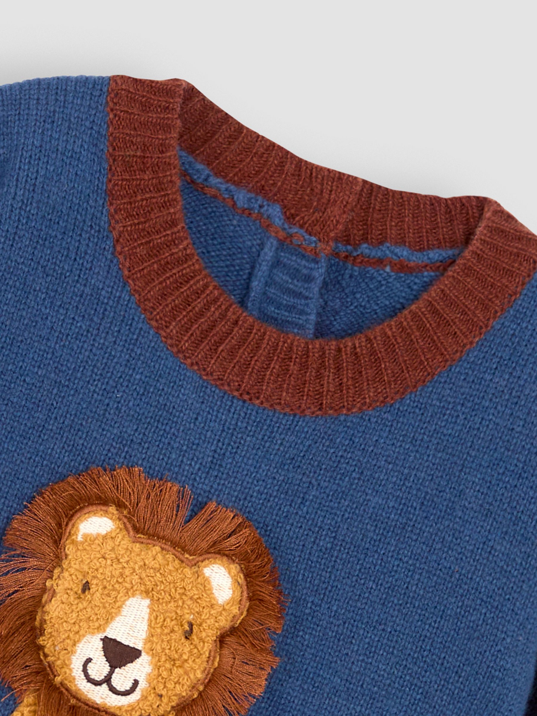 Lion baby jumper deals