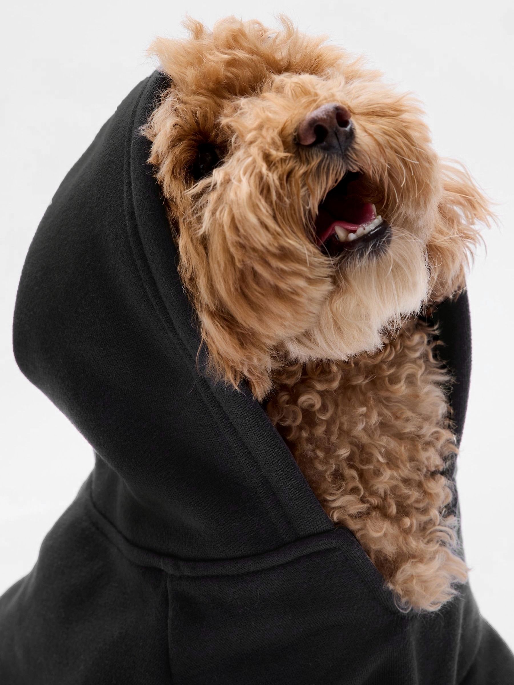 Dog gap logo hoodie sale