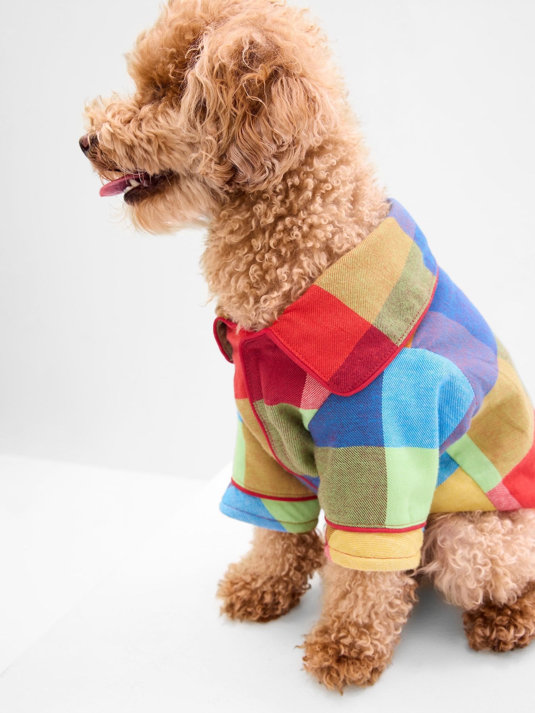 Gap dog pajamas discount