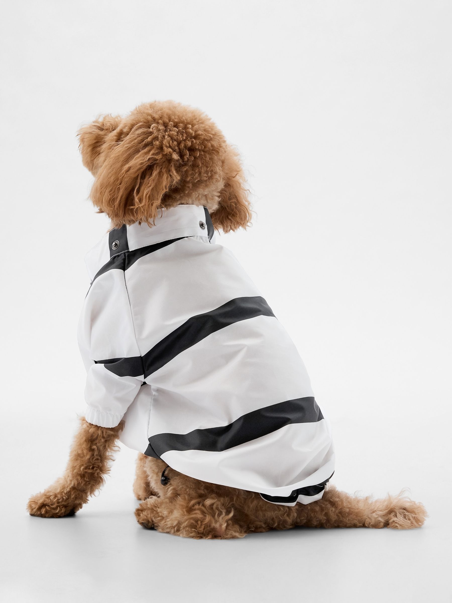 Charles river dog raincoat new arrivals