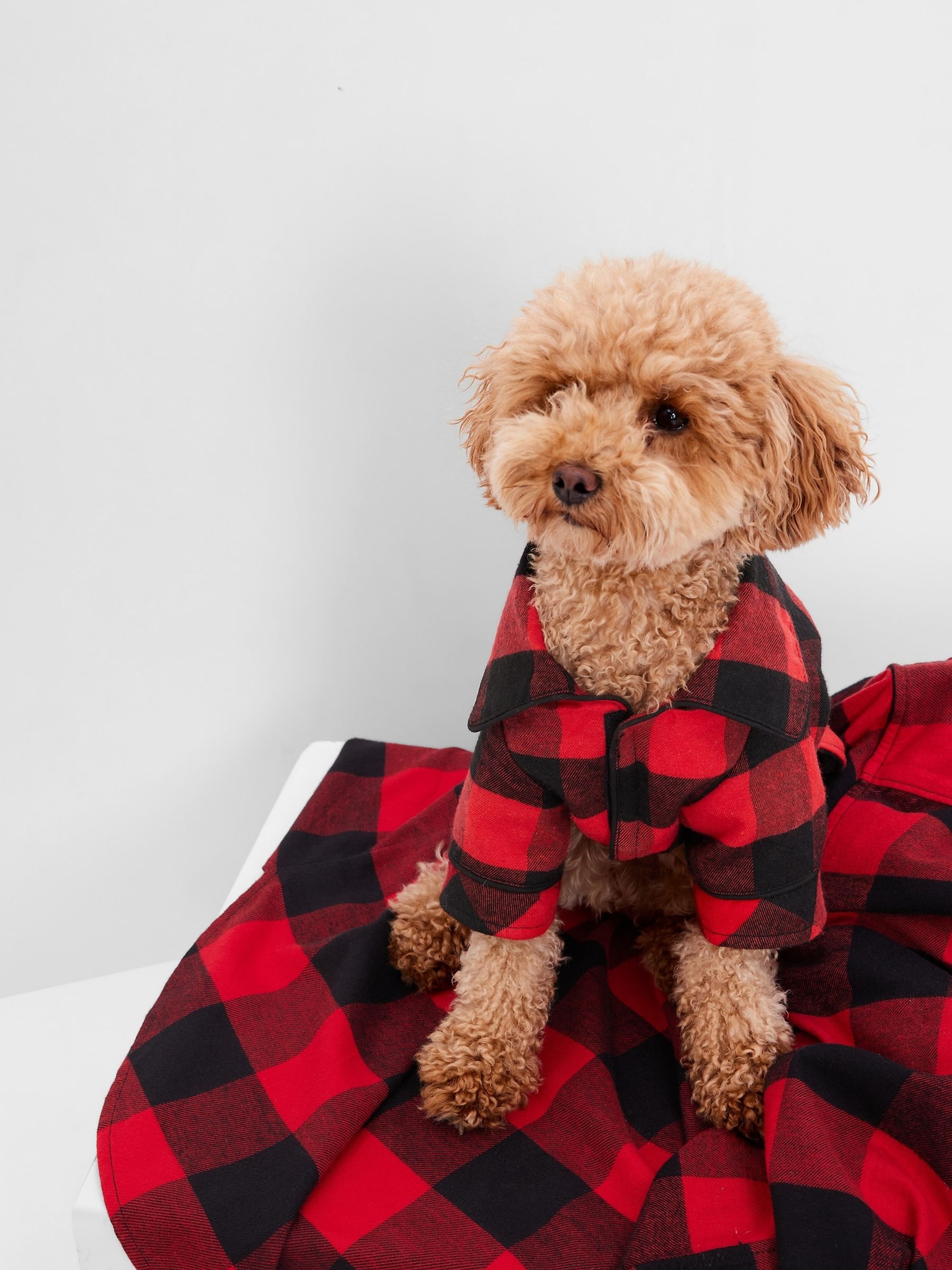 Red plaid pajamas for dogs top