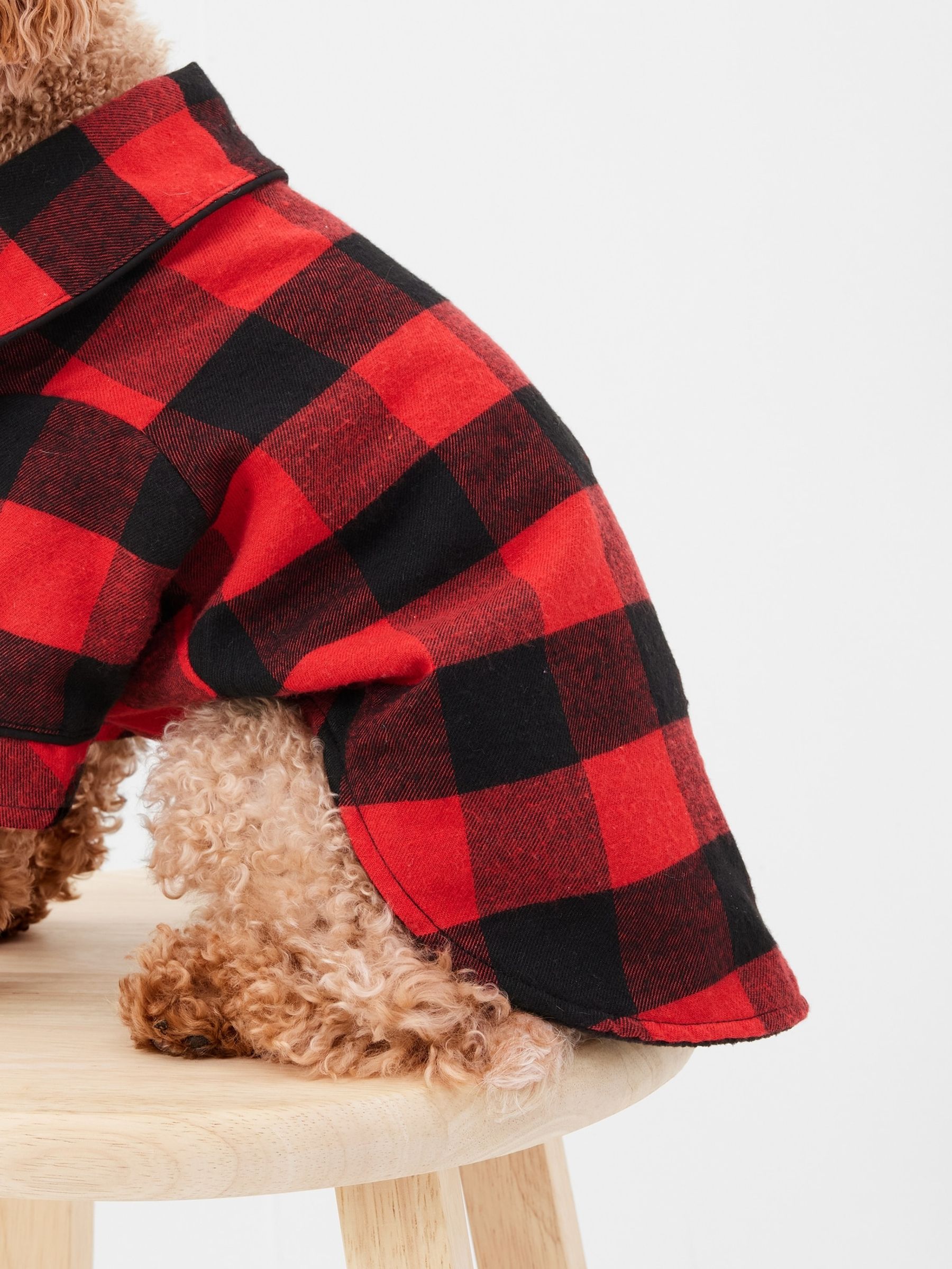 Dog Pyjamas