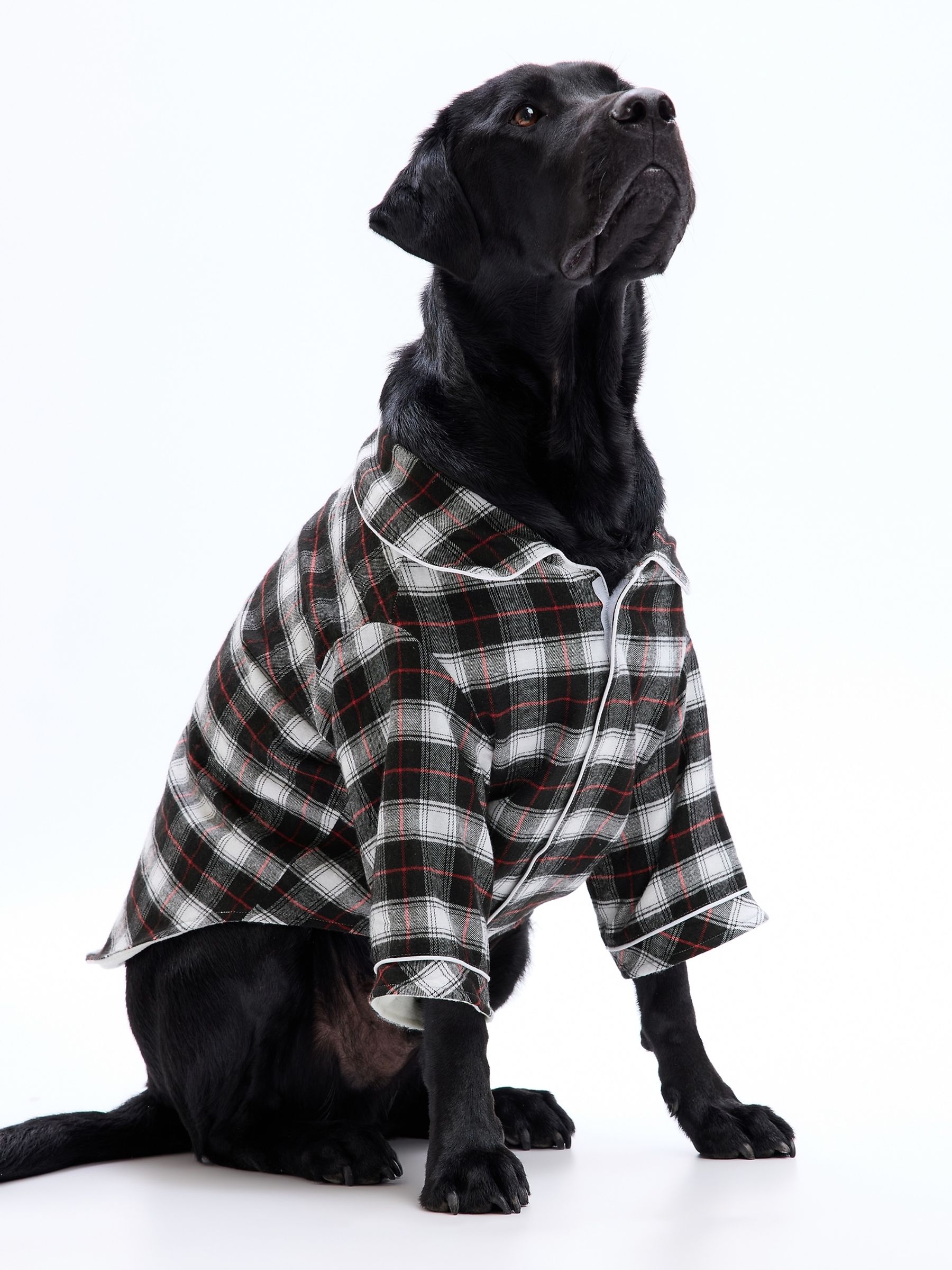 Gap dog pajamas outlet