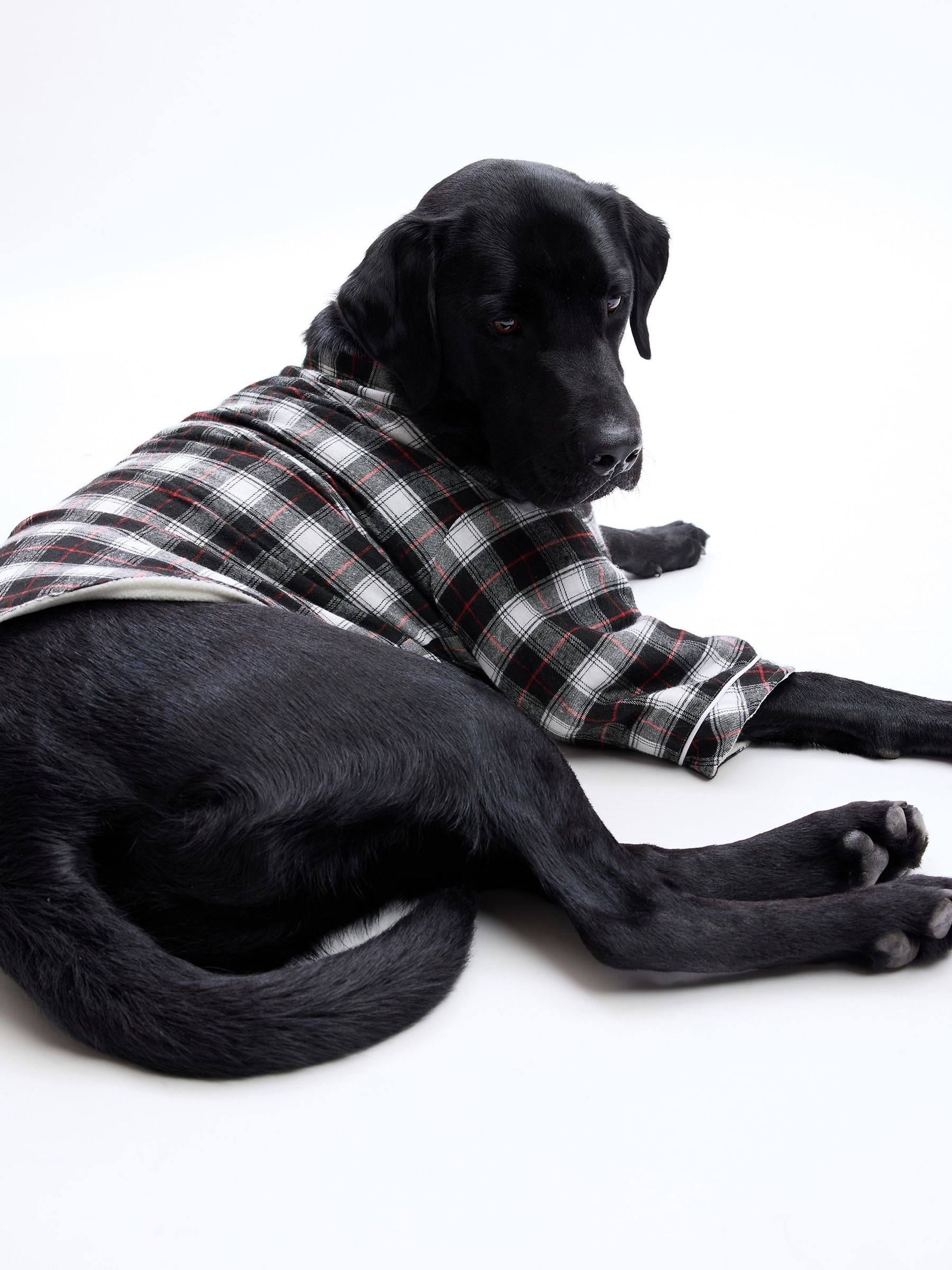 Buy Black White Check Pet Pyjamas from the Gap online shop