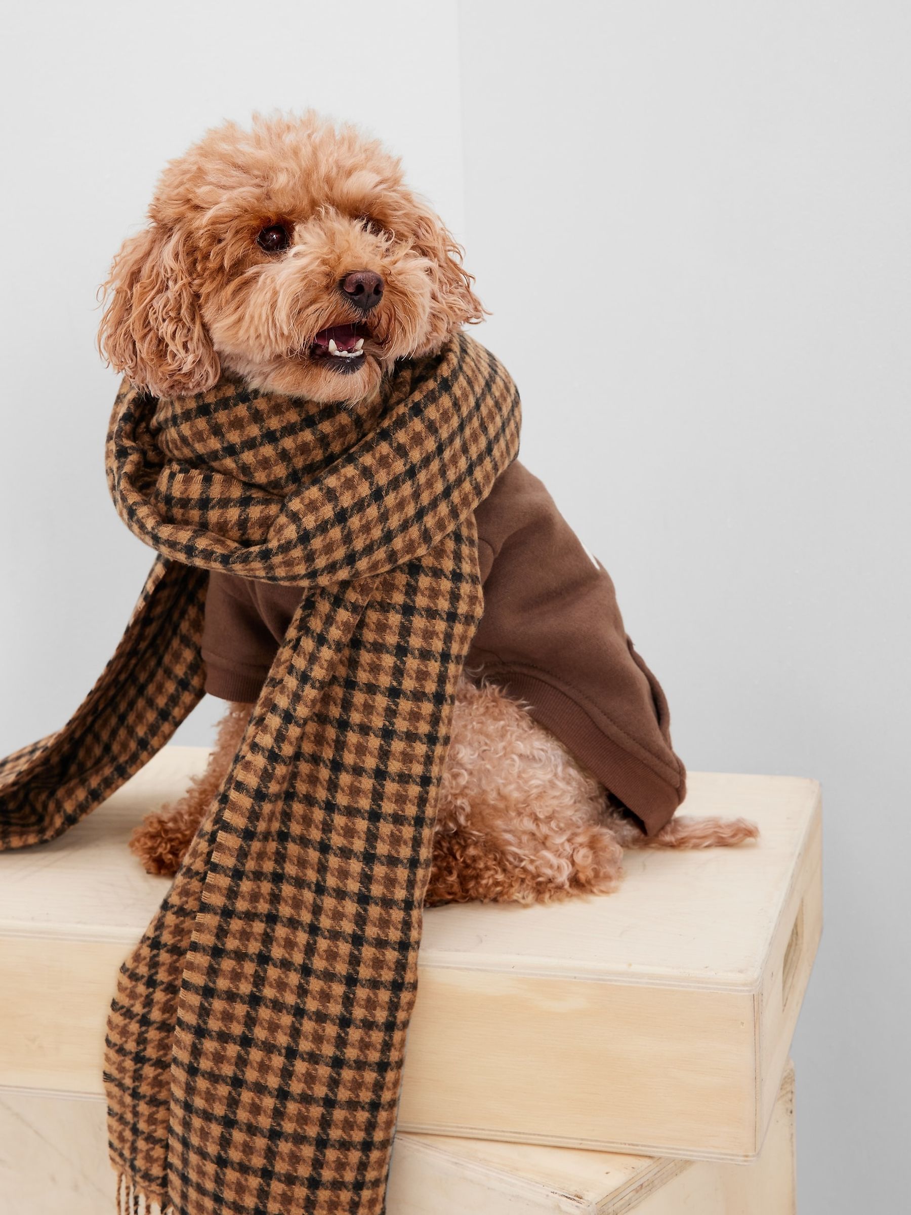 Plaid dog hoodie top