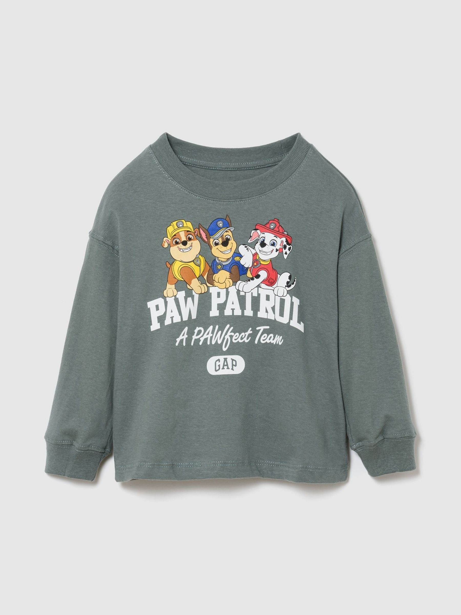 Grey - Paw Patrol Logo Long Sleeve T-shirt