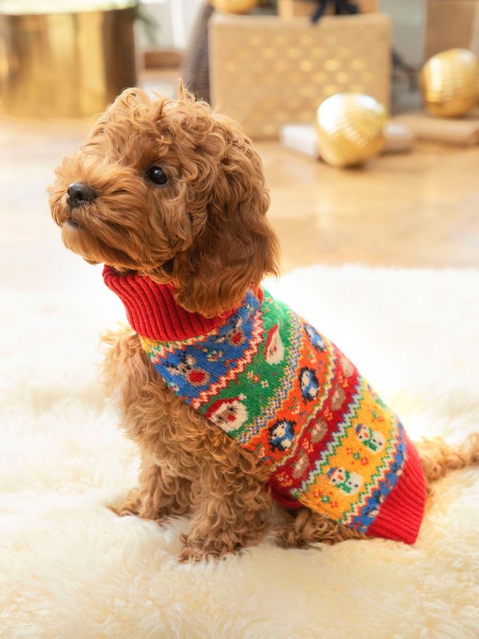 Multi Christmas Fair Isle Pets Jumper (155614) | £10