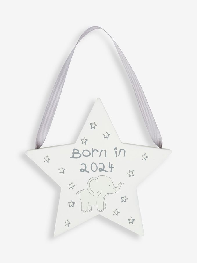 Born in 2024 Star Door Hanger (199889) | £1