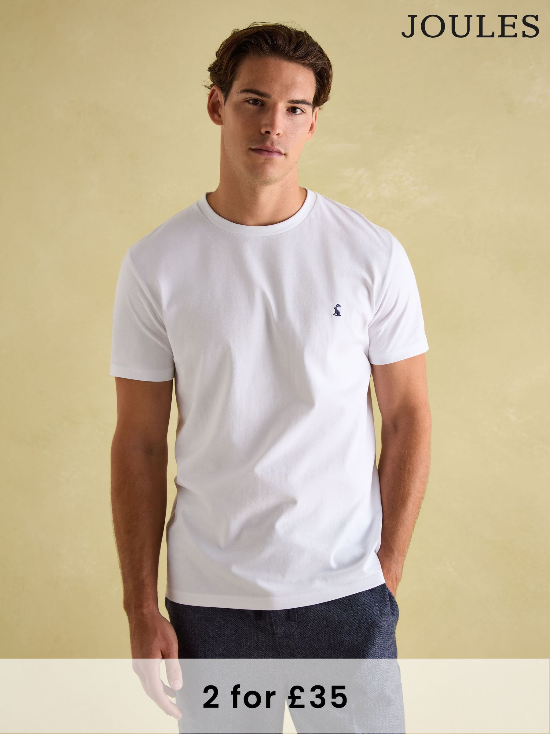 Everyday White Crew Neck T-Shirt (426223) | £20