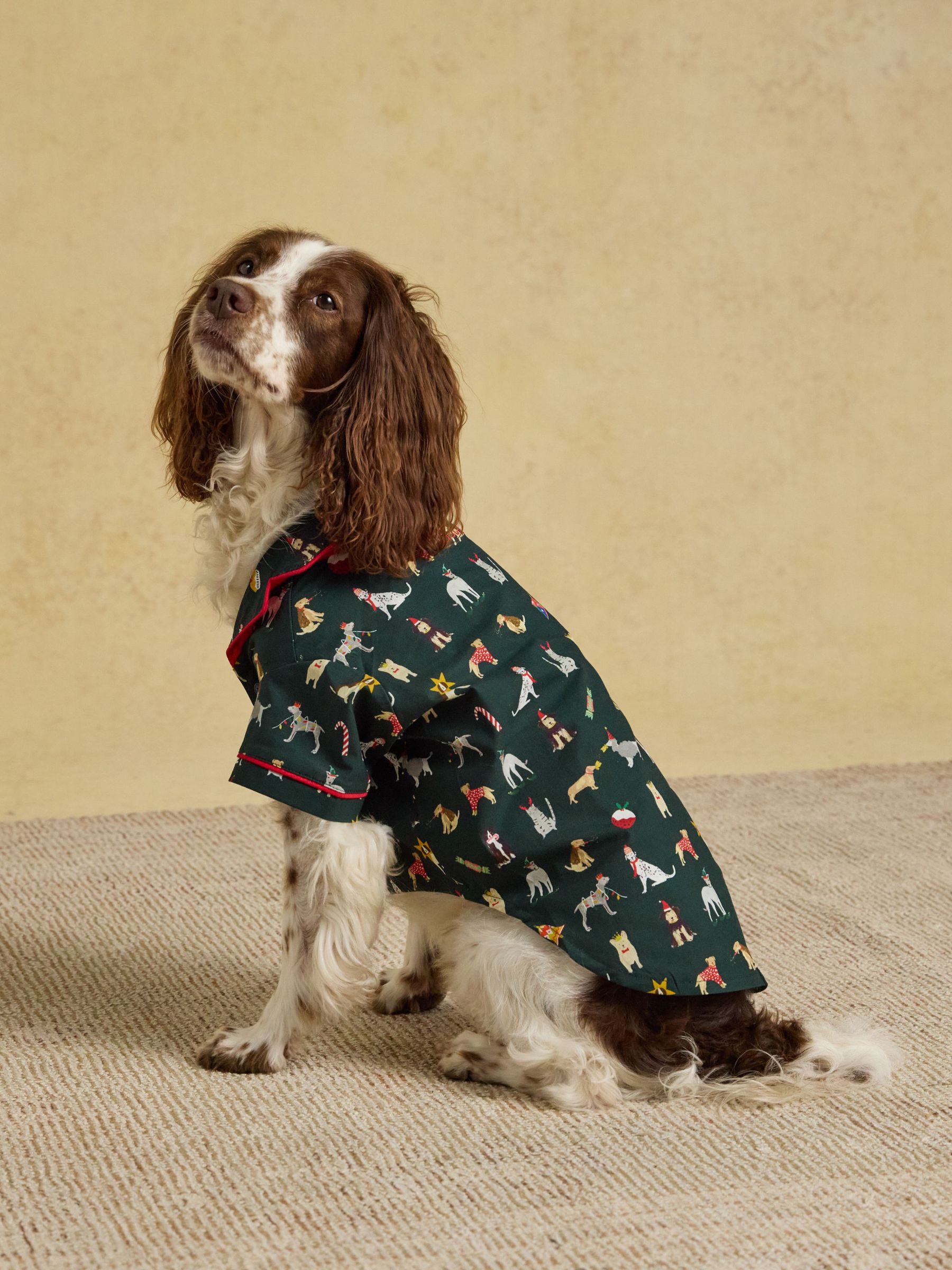 Festive Dog Pyjamas
