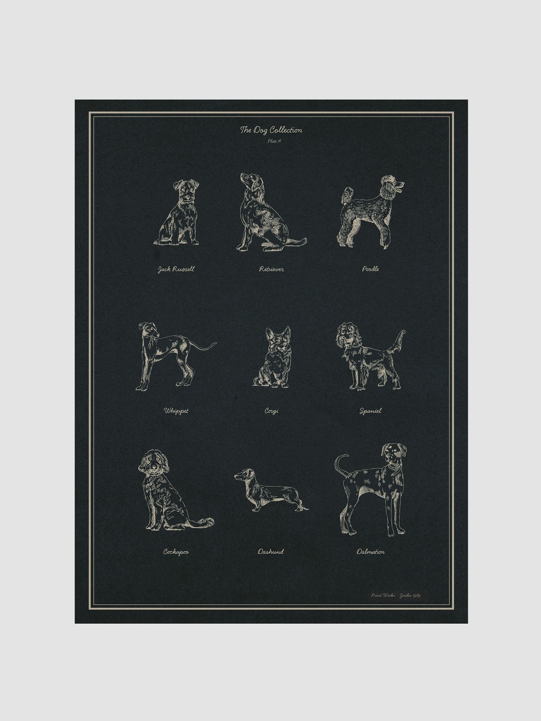The Best In Show Wood Framed Print Wall Art