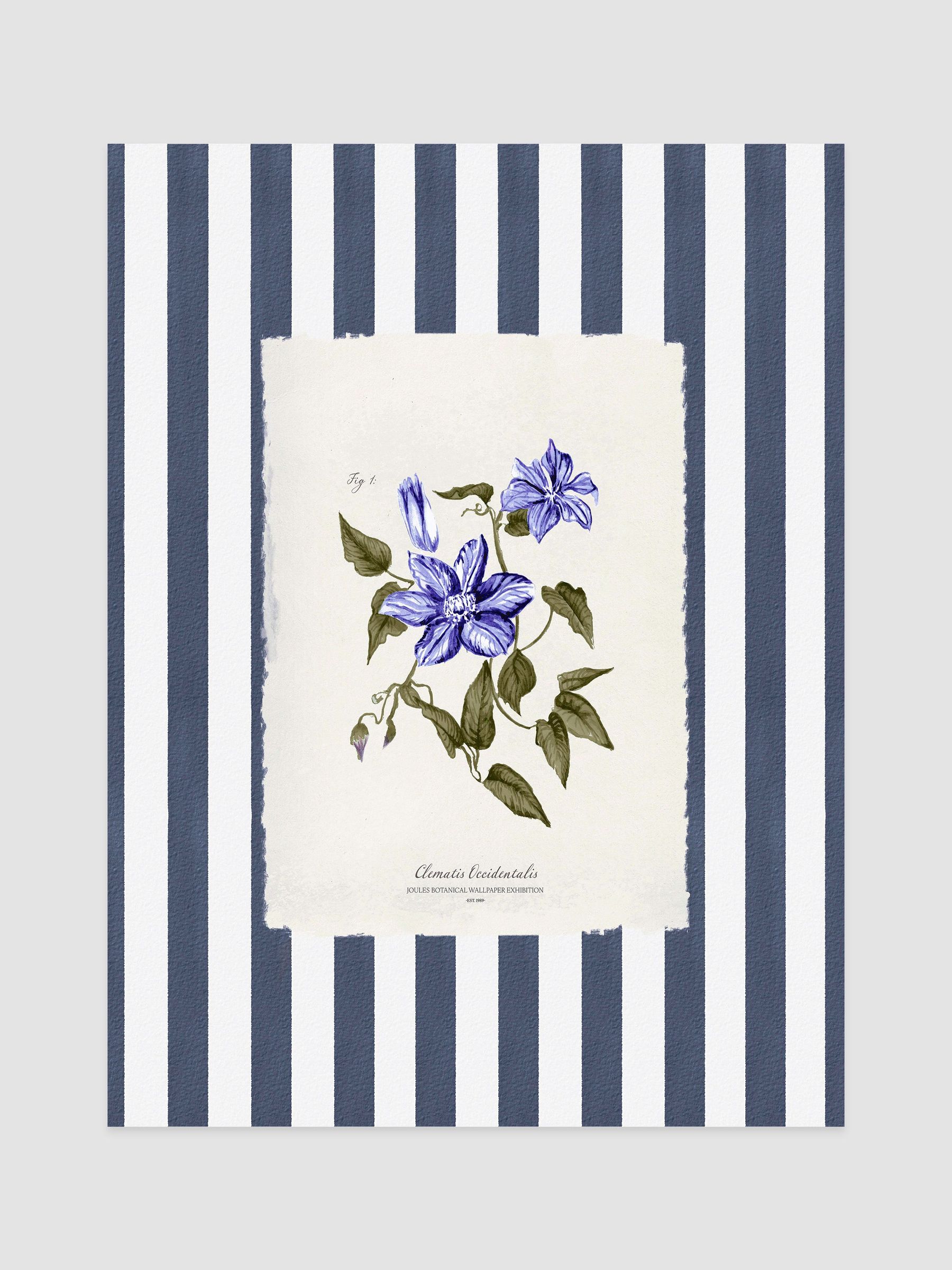 Clematis Climber Print Wall Art