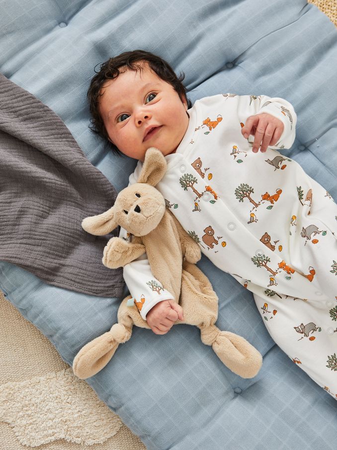 Dog Breton Duck Comforter (670791) | £12
