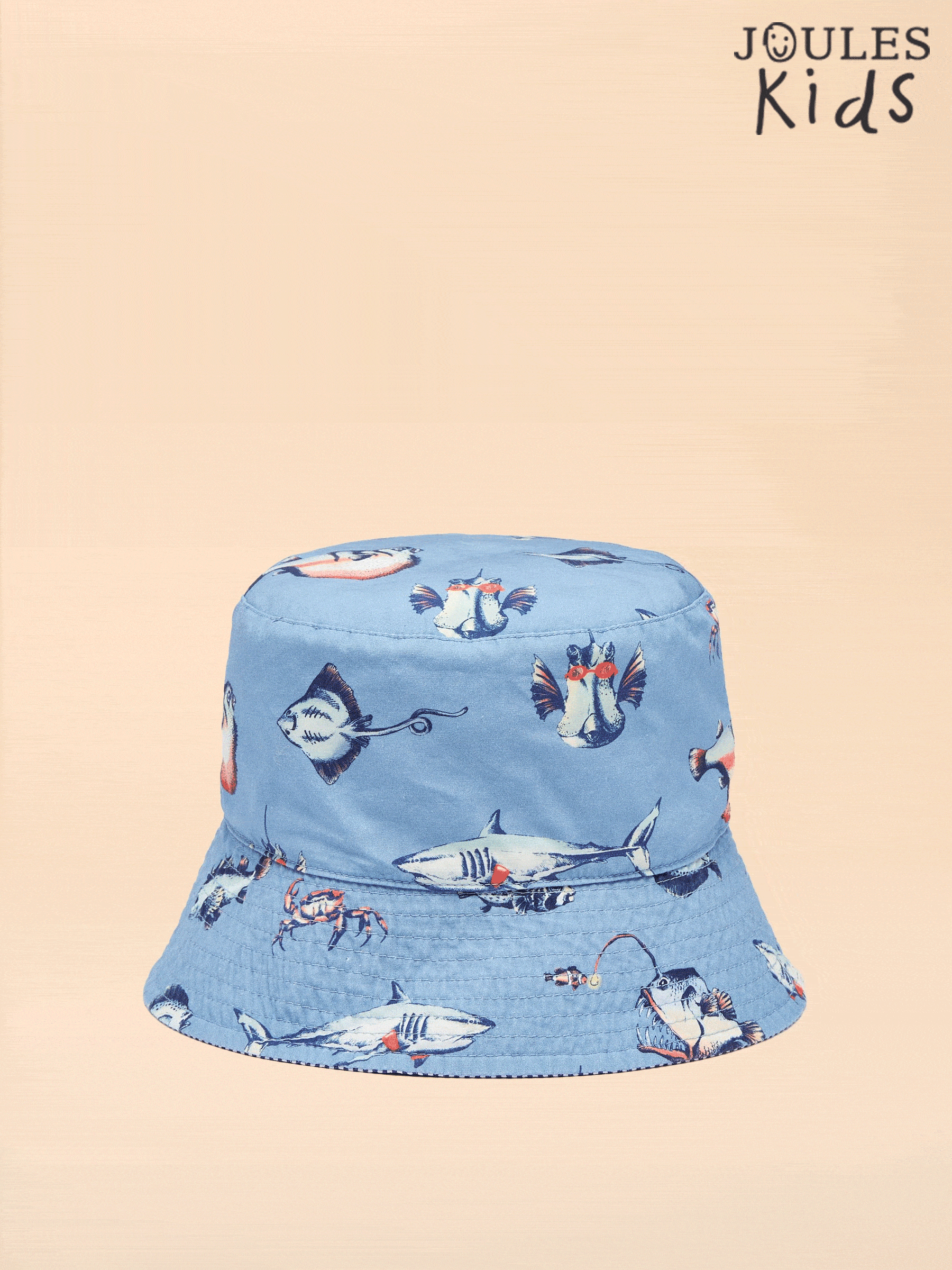 Boys' Bayley Blue Reversible Fish Bucket Hat (860170) | £12