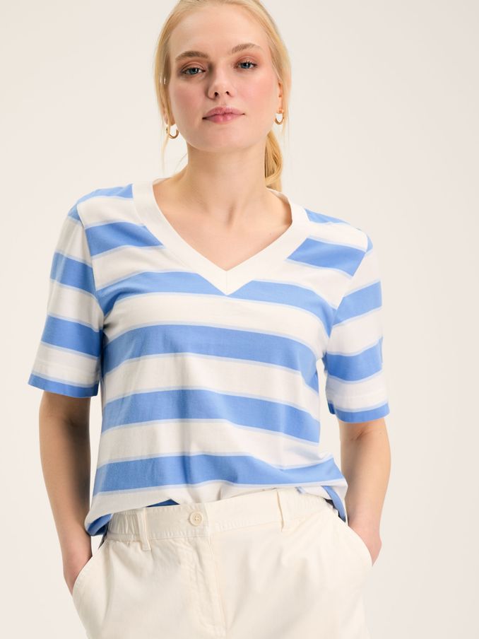 Darcey Blue Stripe V-Neck T-Shirt (993483) | £14