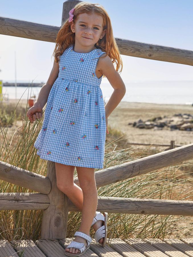 Blue - Gingham Floral Embroidered Dress