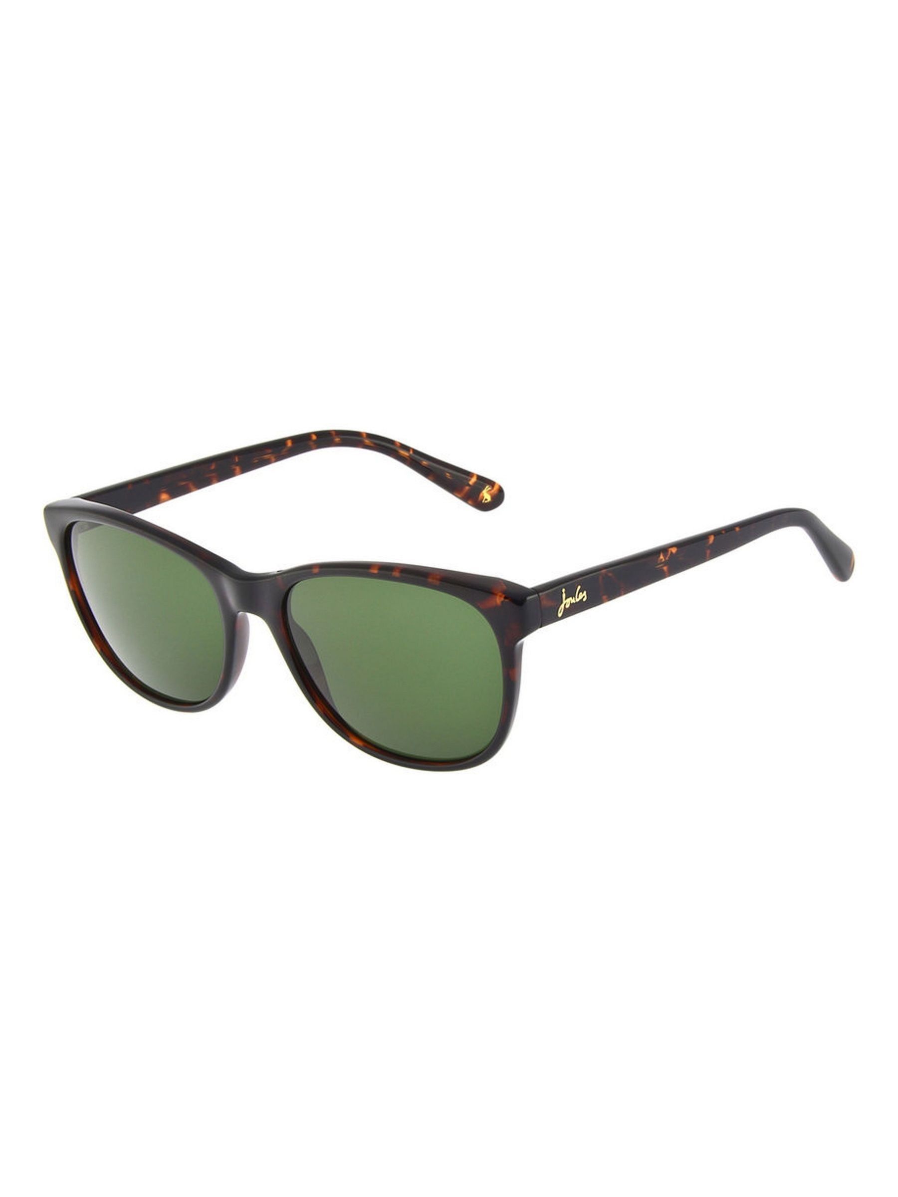 Tortoiseshell Brown Small Classic Graduated Bi-Colour Sunglasses (A24799) | £70