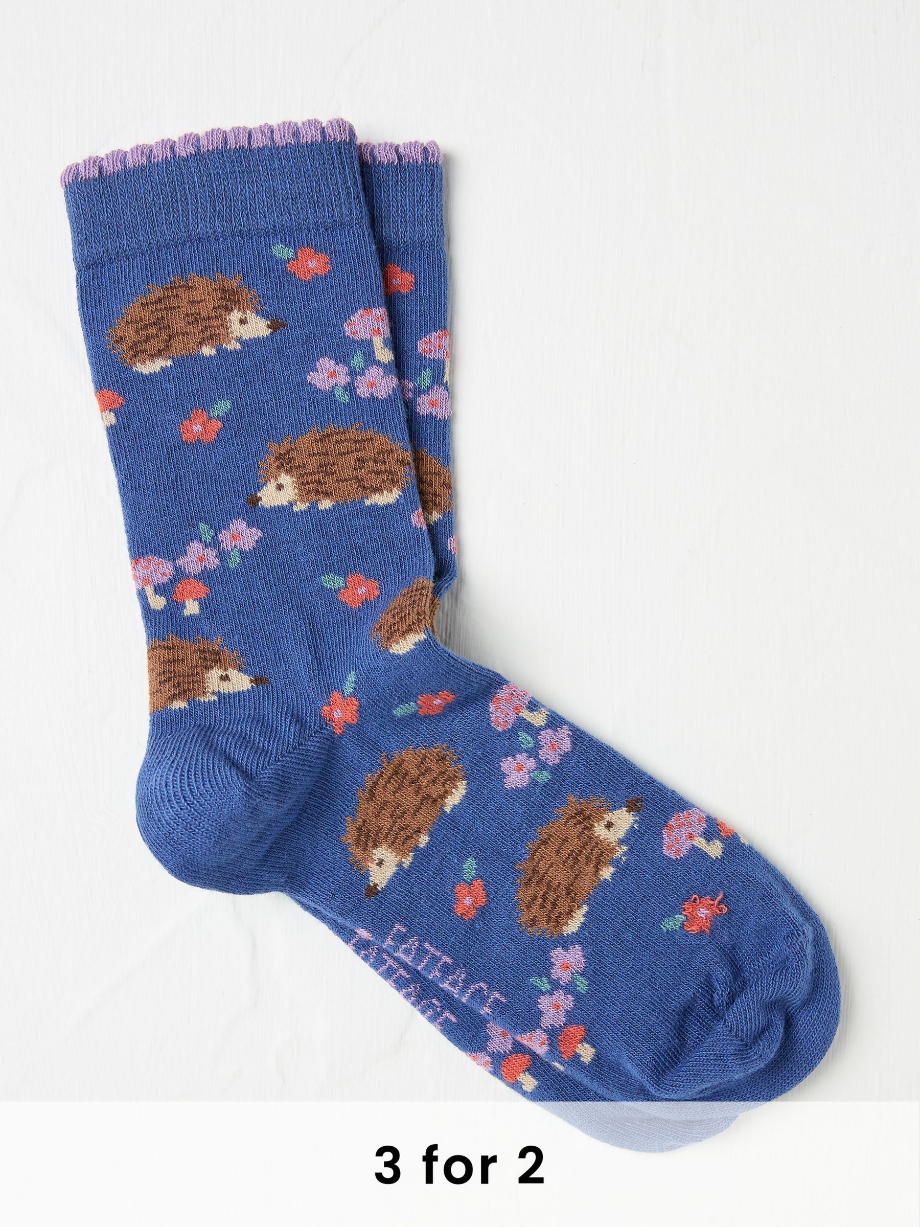 Blue Hedgehog Women's Socks (AA4140) | £7.50