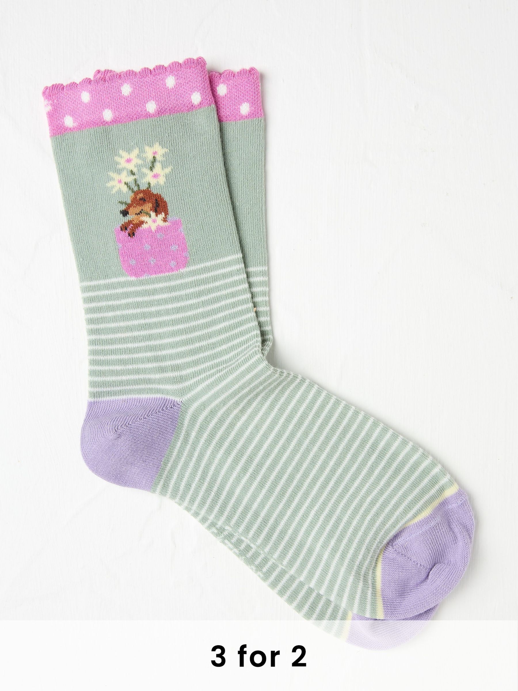 Green Stripe Dog Women's Socks (AC3245) | £7.50