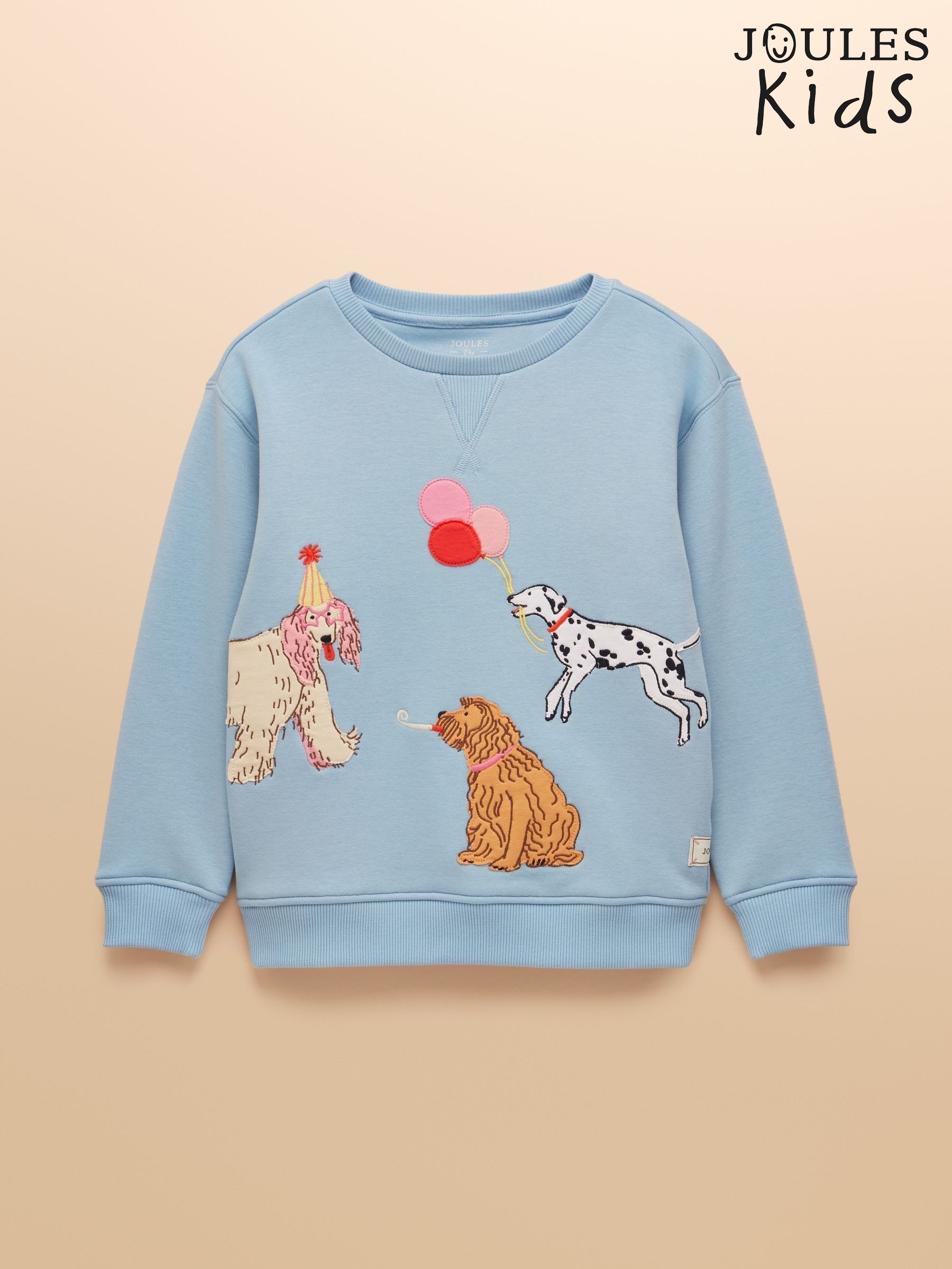 Kids' Mackenzie Blue Dog Sweatshirt With Faux Faur Lining (AN2961) | £14 - £16