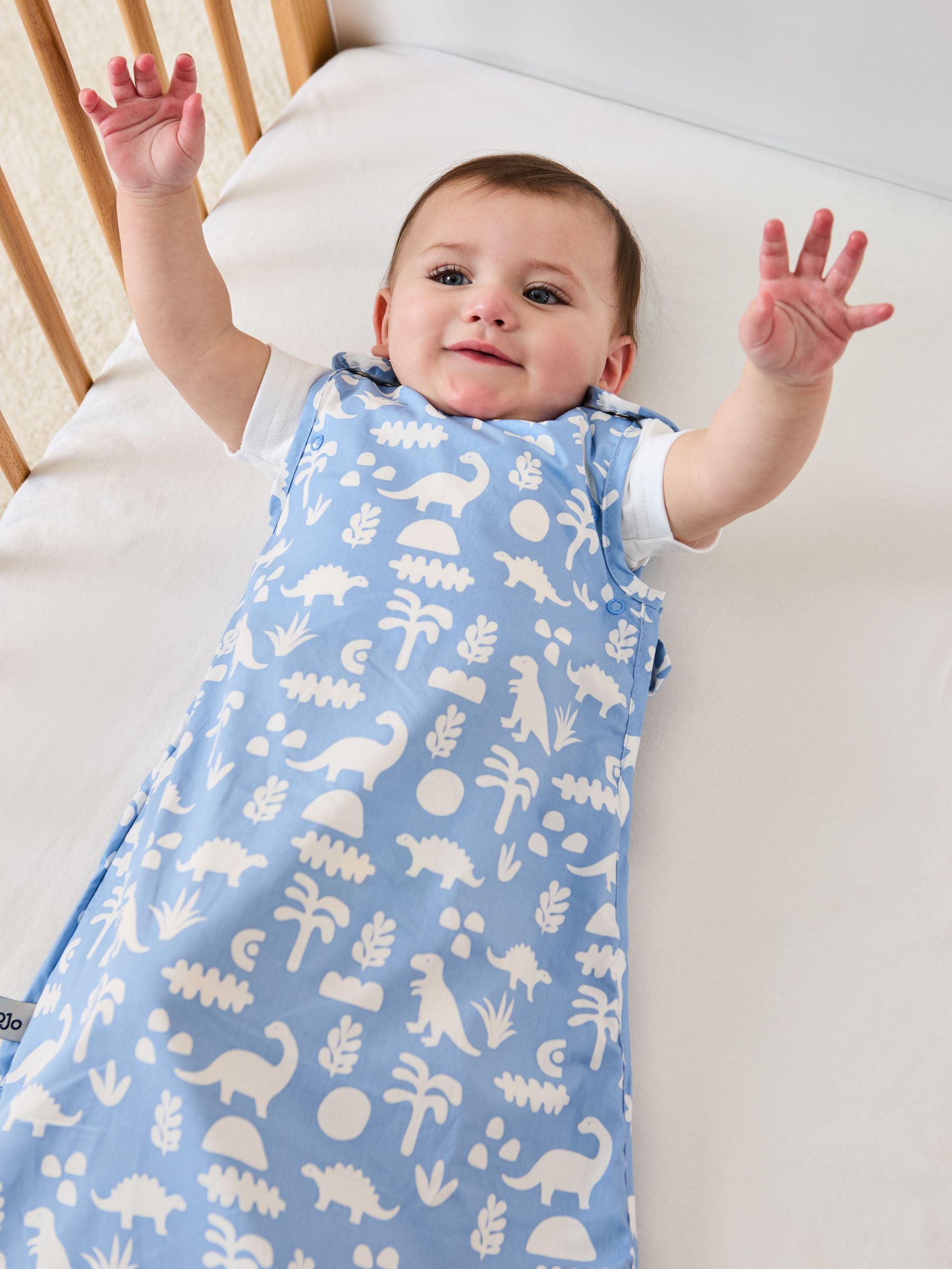 Dinosaur 1 Tog Baby Sheet Sleeping Bag (AP8308) | £26