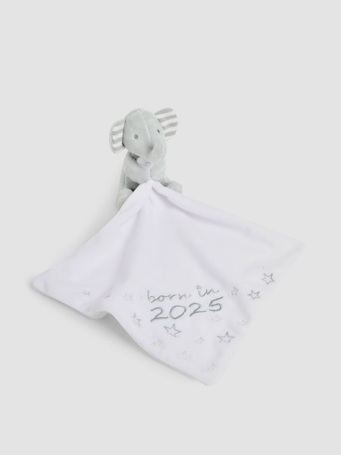 Personalised Born In 2025 Comforter (AT1516) | £20