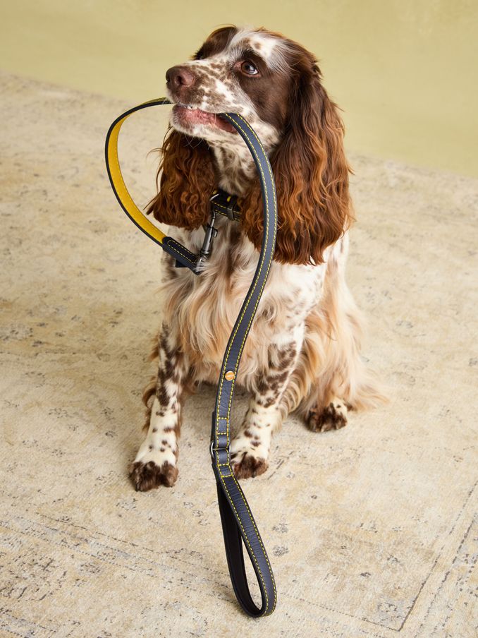 Navy Leather Dog Lead (AU0918) | £22