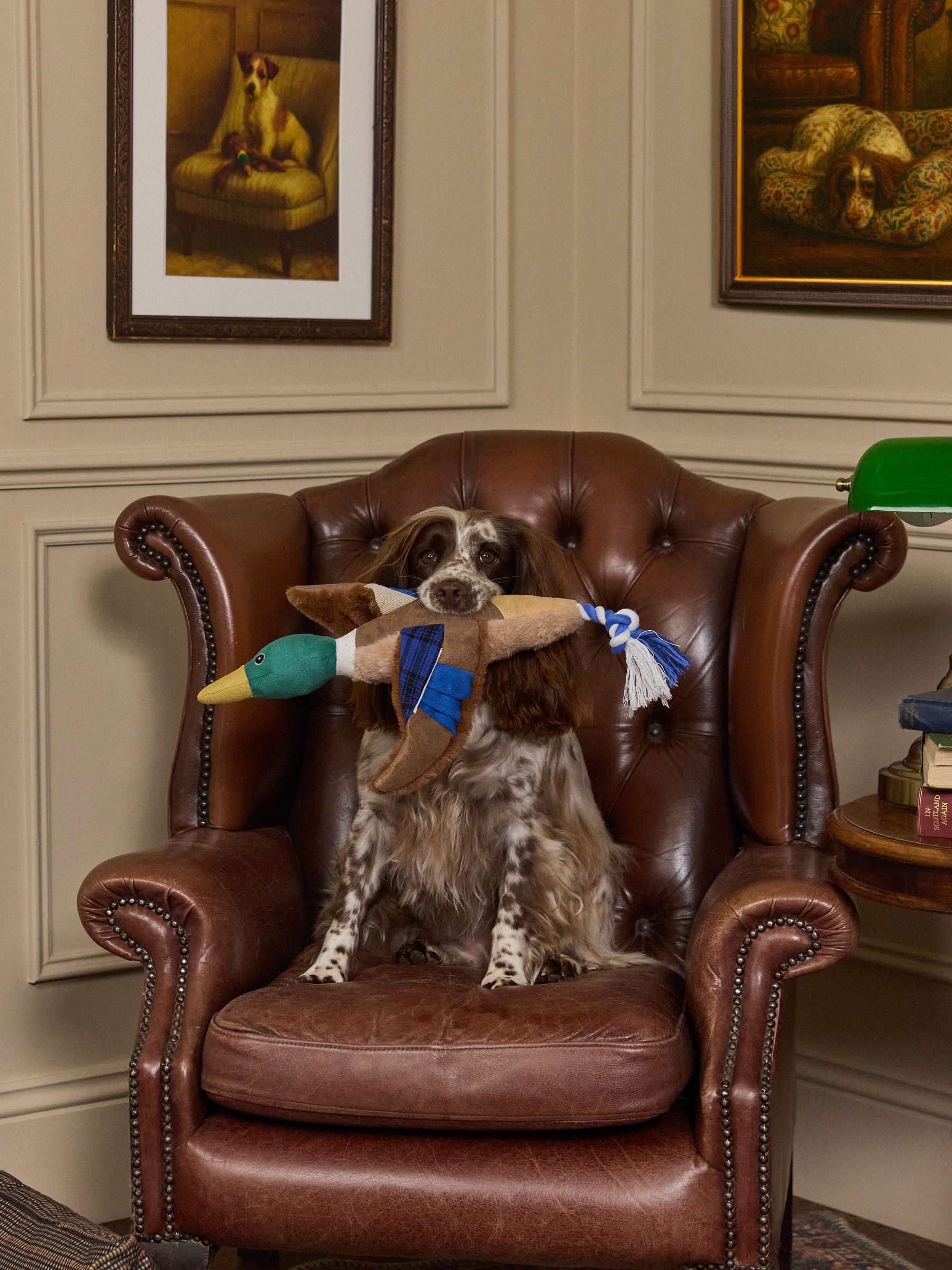 Blue Plush Duck Dog Toy (AU0924) | £12