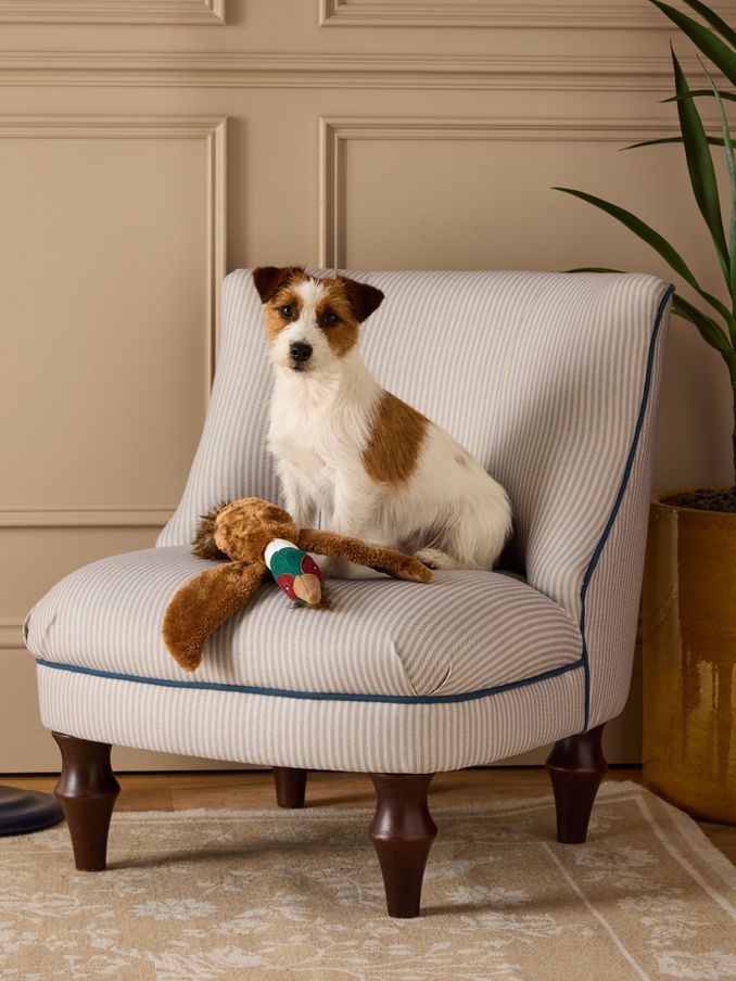 Joules Brown Pheasant Dog Toy (AU0929) | £10