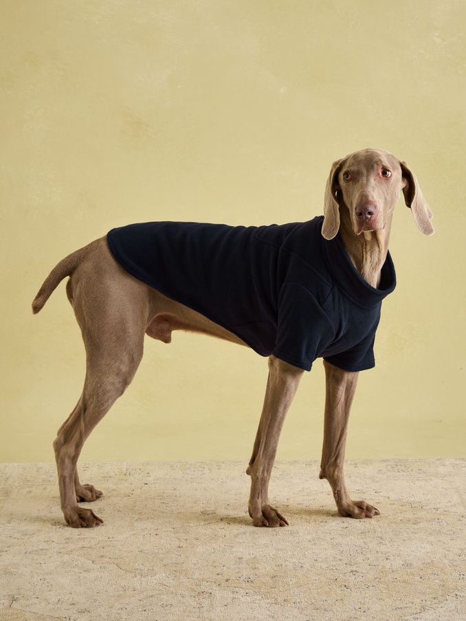 Joules Navy Dog Fleece (AU0958) | £18 - £22