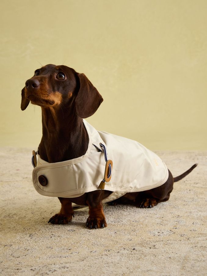 Sandshell Dog Jacket (AU0960) | £18 - £27