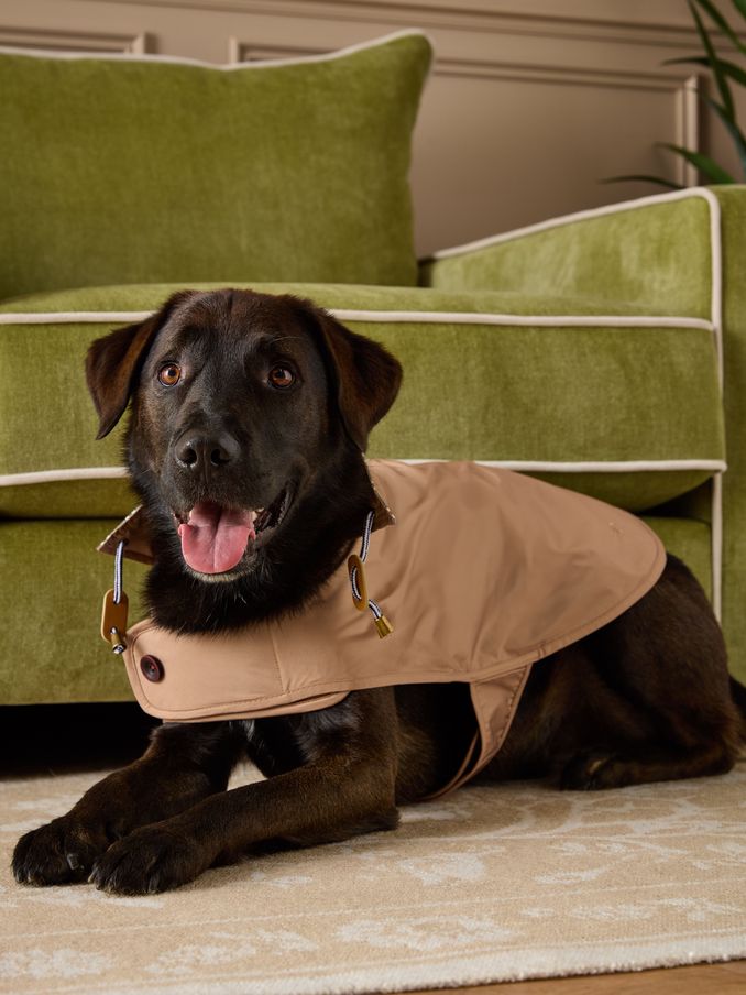 Burra Brown Dog Jacket (AU0961) | £18 - £27