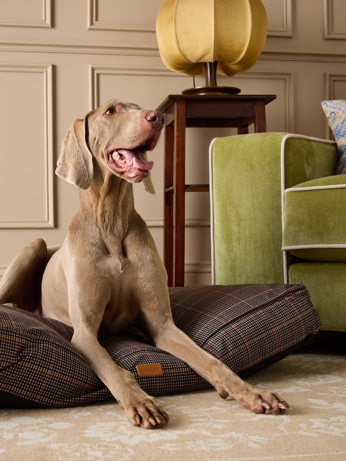 Henson Check Pet Matress Bed (AU0963) | £50 - £70