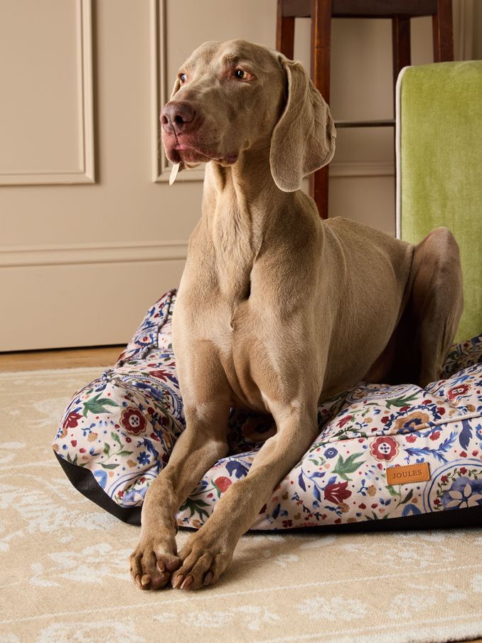 Festival Floral Pet Mattress Bed (AU0966) | £40 - £70