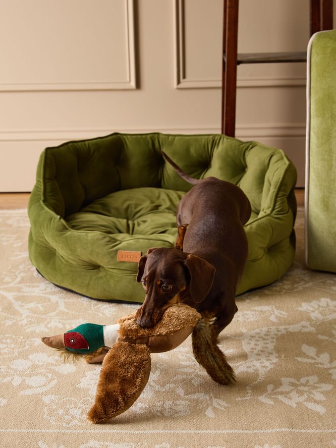 Khaki Chesterfield Pet Bed (AU0968) | £40 - £60