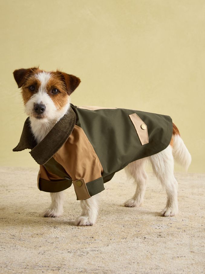 Kennington Brown & Khaki Dog Coat (AU0970) | £25 - £35