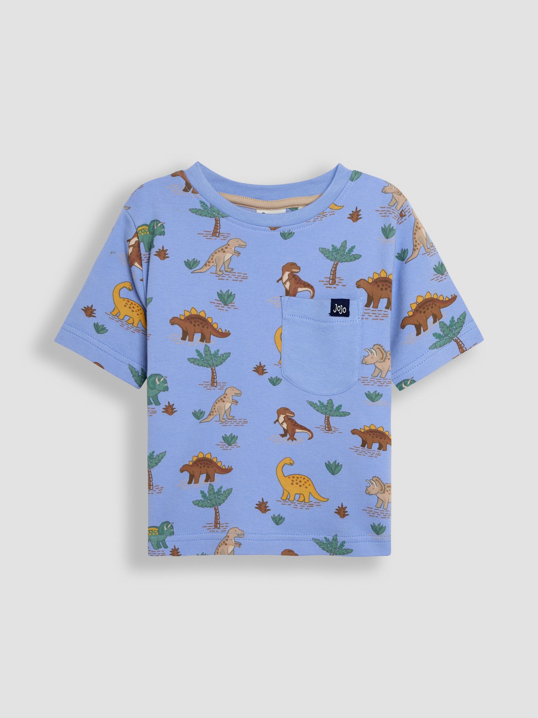 Blue Printed T-Shirt (AU2263) | £13 - £16