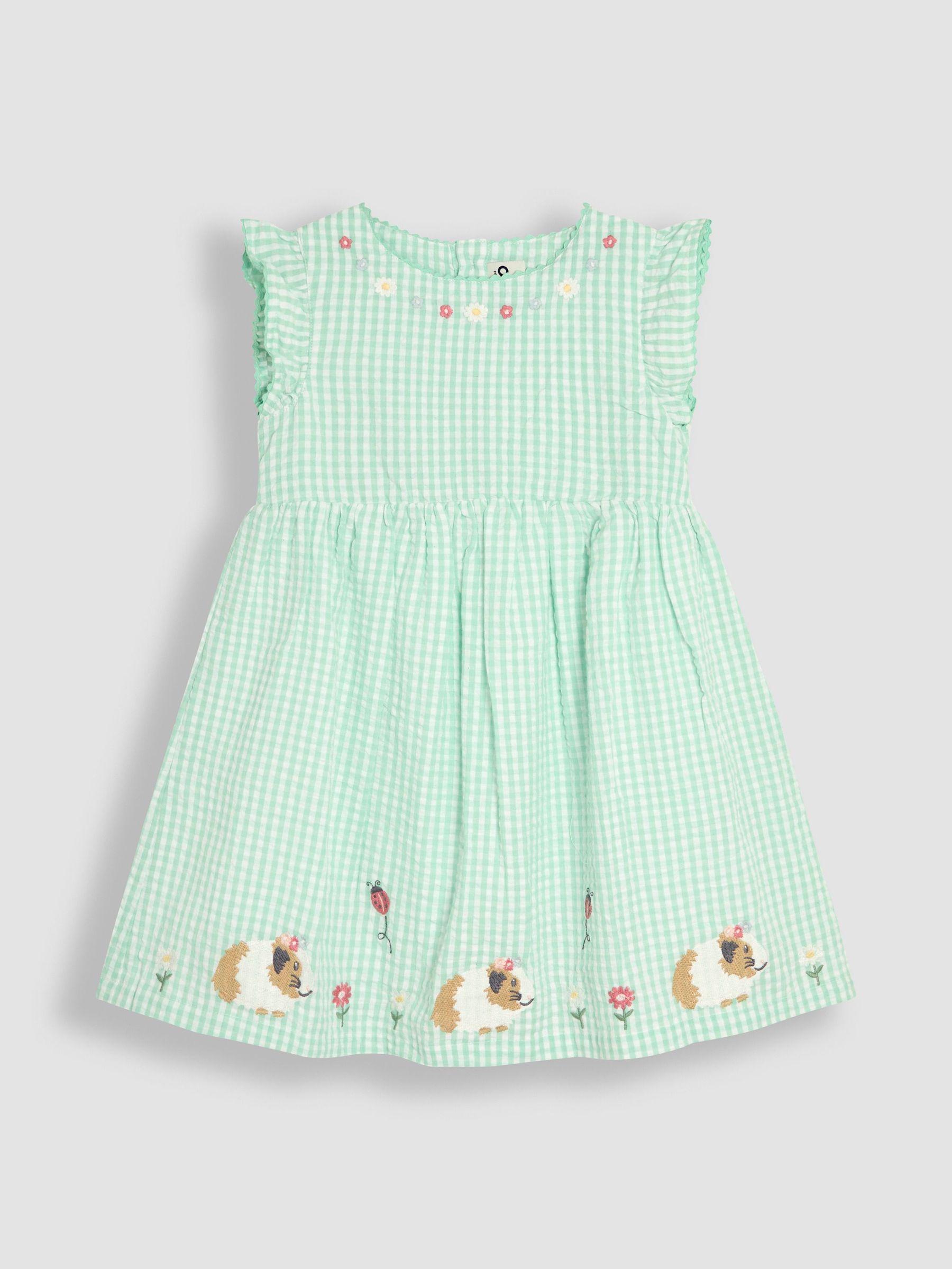 Green Guinea Pig Appliqué Gingham Summer Dress (AU4222) | £25 - £28